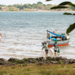 <strong>La COP30 no solo sucede en Brasil en noviembre: ocurre cada día del 2025 en toda América Latina</strong>