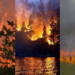 <strong>Miles de personas se unen en Change.org para combatir los incendios</strong>